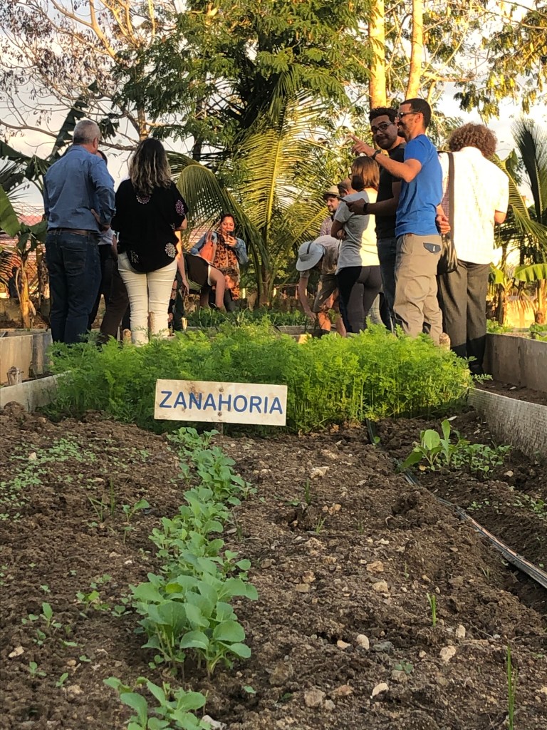 Transformation der Ernährungssysteme durch Agrarökolgie