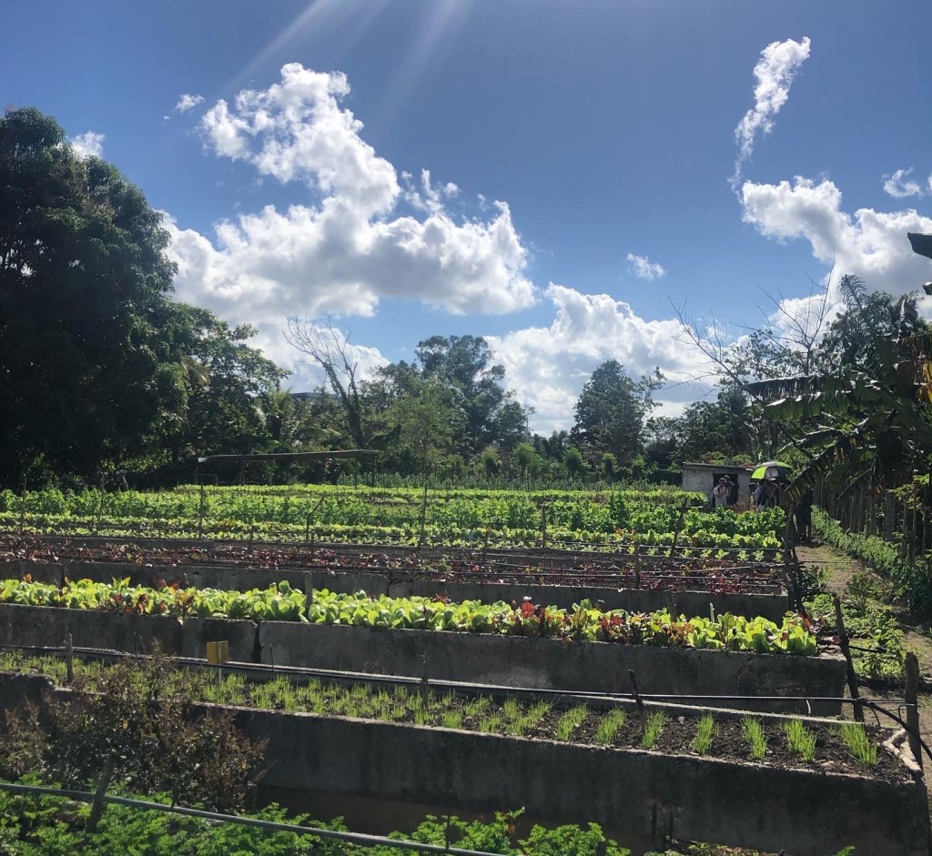 Organopónico in Sancti Spirítus Kuba
