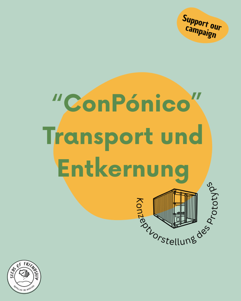 ConPonico Eberswalde