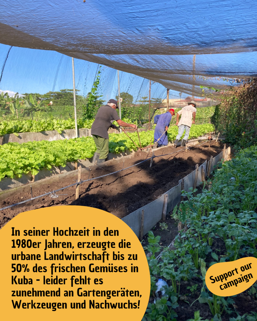 Urbane Landwirtschaft Kuba